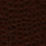 Brown Alligator