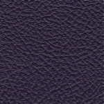 Purple Levant
